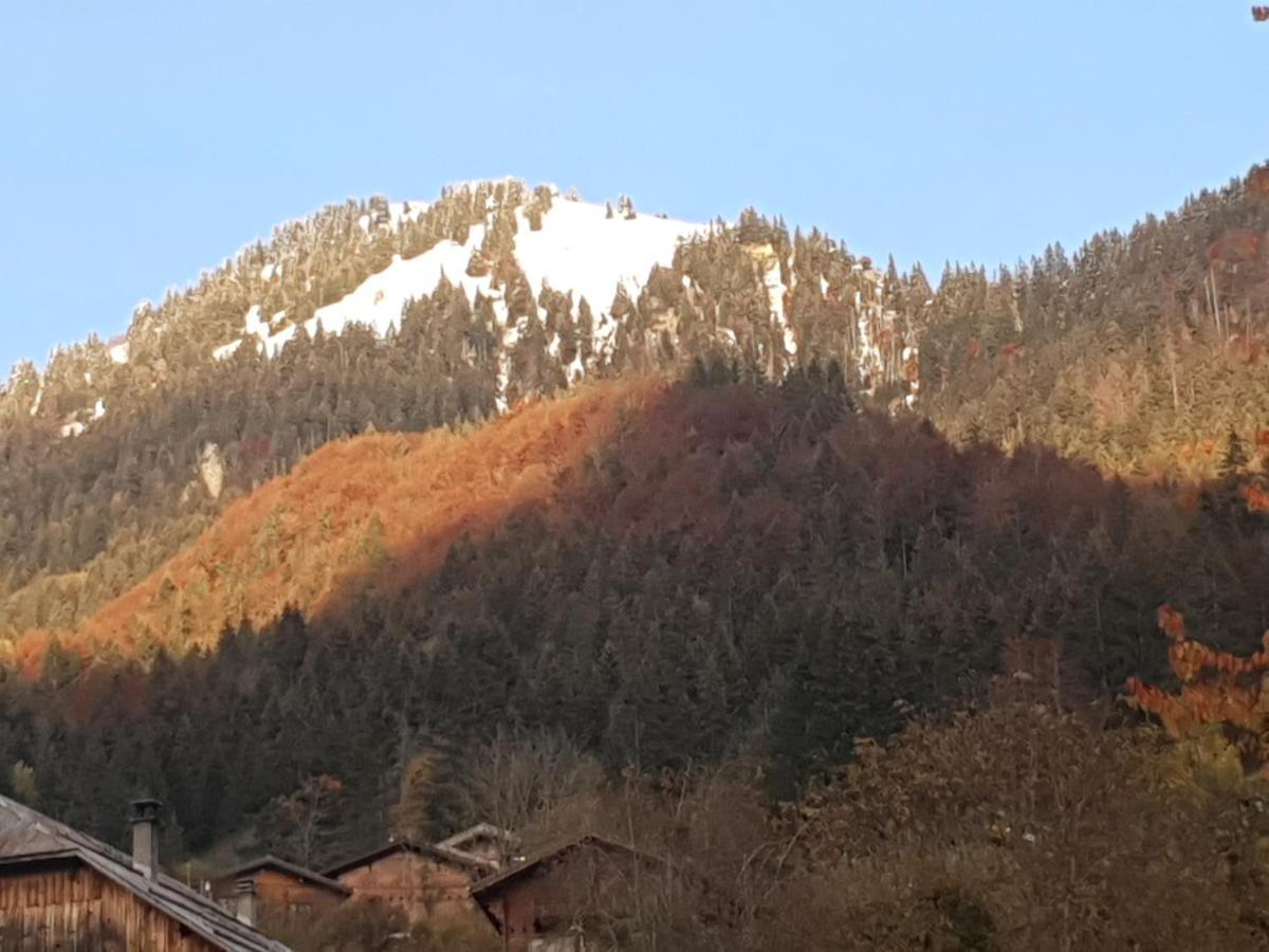 Chalet Tante Emma Vacheresse エクステリア 写真