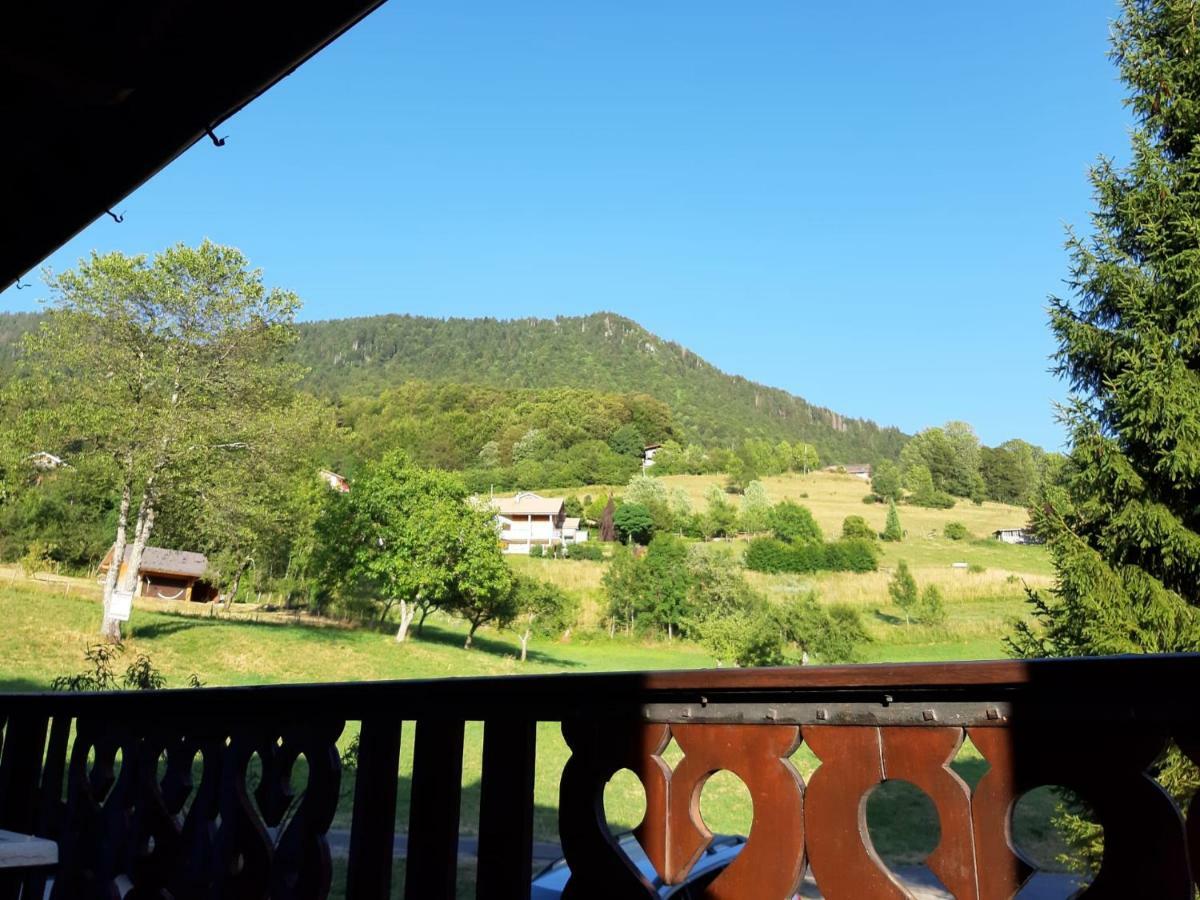 Chalet Tante Emma Vacheresse エクステリア 写真